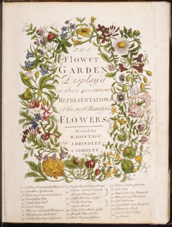 The Flower-Garden Display'd, In Above Four Hundred Curious Representations Of the Most Beautiful Flowers; Regularly Dispos'd in the Respective Months of Their Bloom