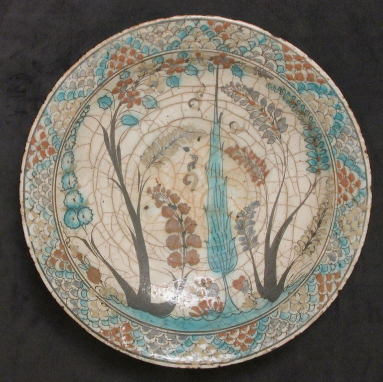 Dish