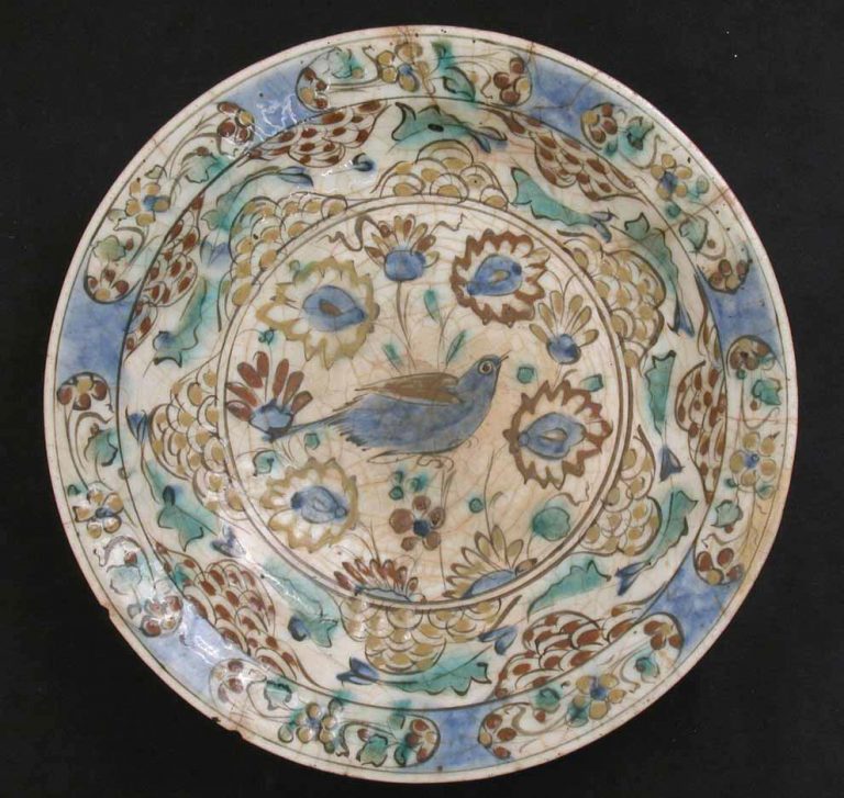 Dish