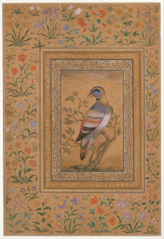 "Portrait of Shaikh Mu'in al-Din Hasan Chishti", Folio from the Shah Jahan Album