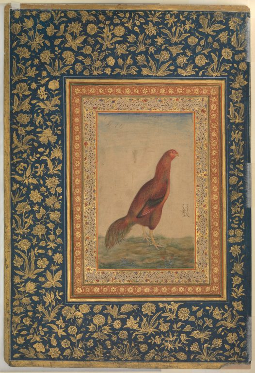 "Portrait of Muhammad Ali Baig", Folio from the Shah Jahan Album