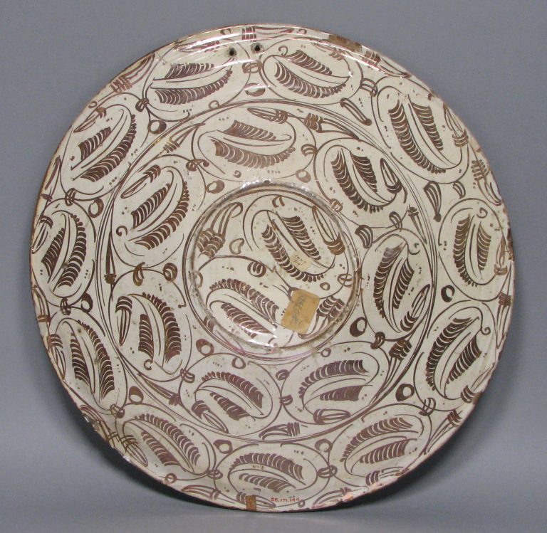 Dish