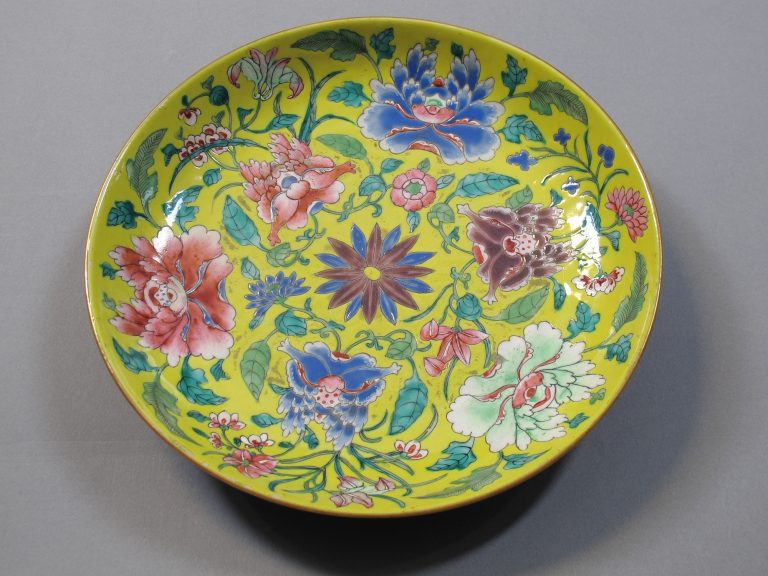 Dish