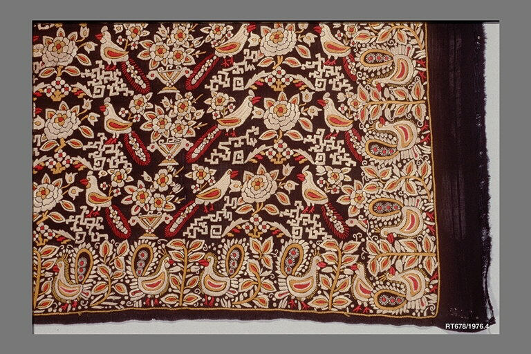 Portion of Silk Gauze Sari