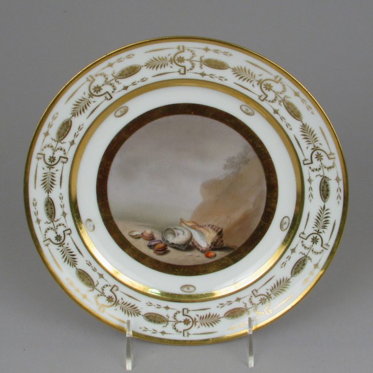 Plate with marine subject